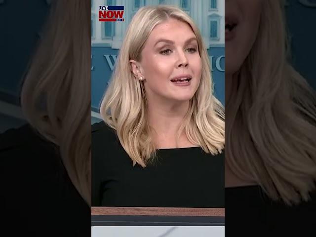 White House: Trump considers striking Iran | LiveNOW from FOX