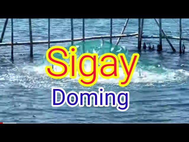 SIGAY  by Doming (videoke) ilocano novelty song #tonylab31 
