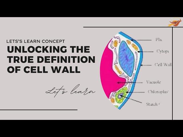 What is a Cell Wall?