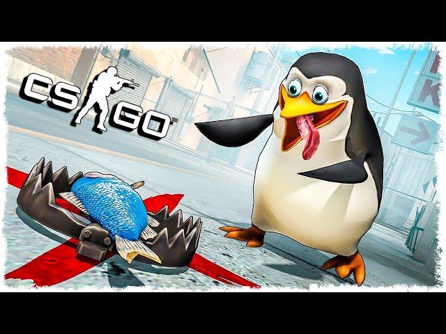 НЕ ТРОГАЙ!!! ЭТО ЛОВУШКА!!! УГАР В CS:GO!!!