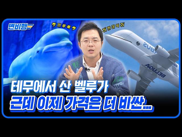 ‍: 거울아 거울아 어떤 비행기가 제일 못생겼니🪞: 벨루가랑 슈퍼구피요.  [변비행️ 286화]