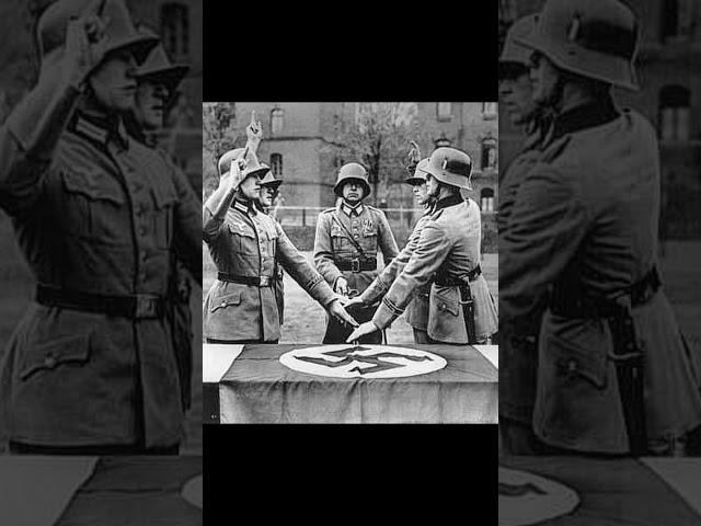 "THE MAN WHO STOOD ALONE AGAINST HITLER" #ww2history #neverforget