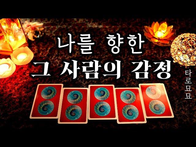 [타로] 그 사람은 나에 대해 어떤 감정을 가지고 있을까?