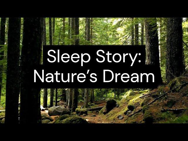 Sleep Story: Nature's Dream