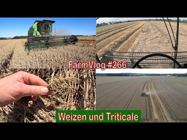 Farmvlog #266: Vollgas in der Getreideernte | Topliner 4065 HTS