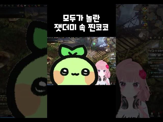 잿더미 속 찐코코