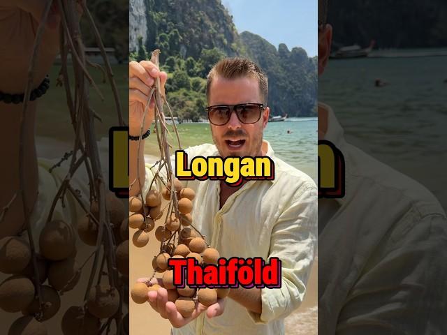 Logan kóstolás, Krabin-Thaiföldön!️ #balugasztro #shorts #balu #derbalu #longan #fruit #worldtrip