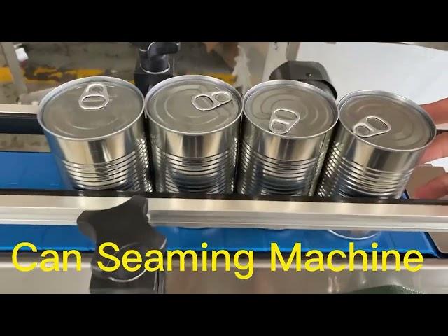 Automatic Can Seaming Machine,Dia73mm Tin Can Sealing Machine,Servo Can Seamer China Best Factory