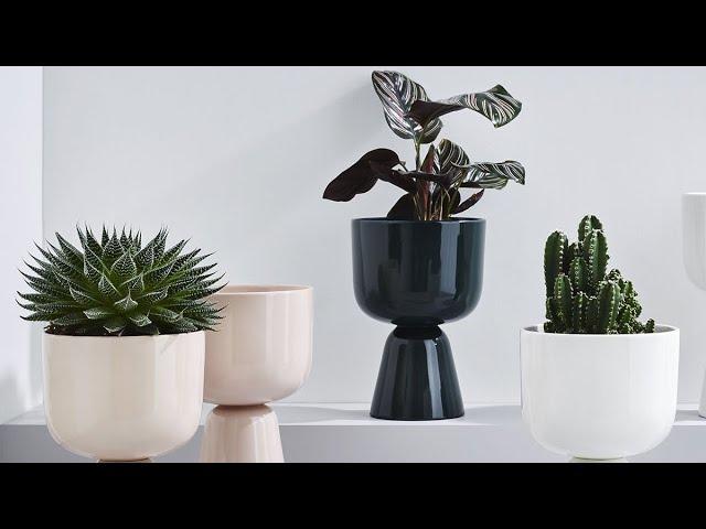 MACETAS EN TENDENCIA | UNA MACETA PARA CADA ESTILO| DECORA CON MACETEROS #homedecor #plants