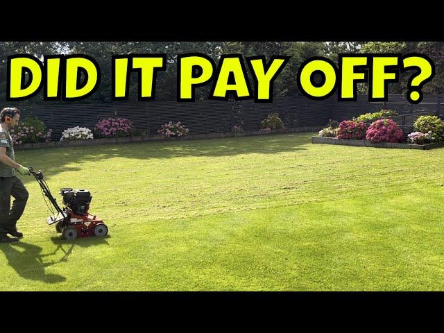 I LAID Into This Lawn BIG TIME, But Did I Get Away With It?? YOU BET I DID!!