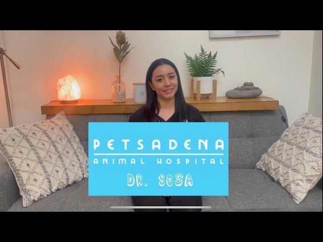 Meet Dr. Sosa at Petsadena Animal Hospital!