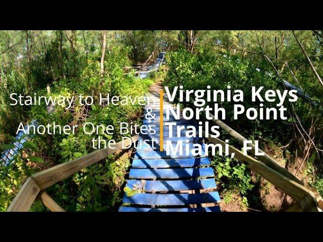 Stairway To Heaven & Another One Bites the Dust | Virginia Key North Point Trails | Miami, Florida