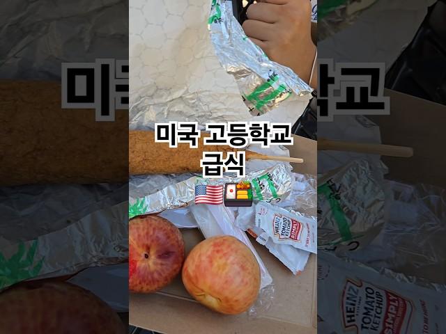 미국 급식 현 상황 9일차 #급식 #급식메뉴 #미국 #미국급식 #점심 #고등학교