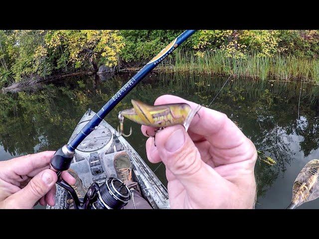 Fishing A Tiny Grasshopper Lure For Big Bass!