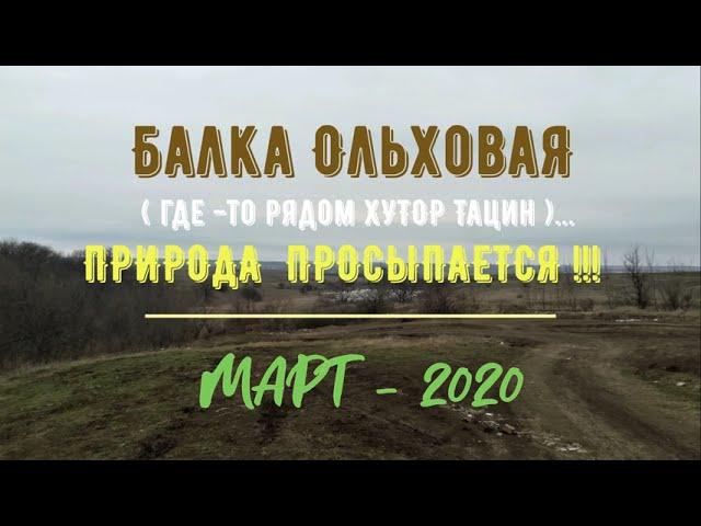 Балка ОЛЬХОВАЯ (где -то рядом ХУТОР ТАЦИН).../ПРИРОДА ПРОСЫПАЕТСЯ !!!/МАРТ -2020