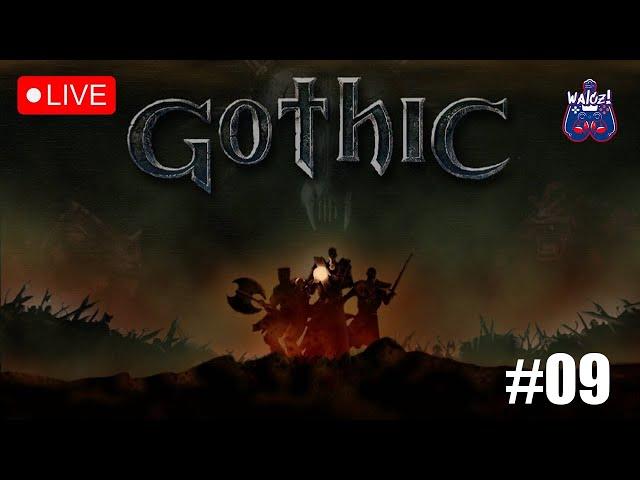 Walczi gra w: Gothic LIVE 9