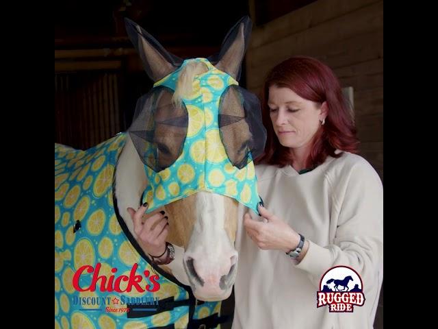 🪰 Stop the Swarm! Best Horse Fly Protection Gear from Chick’s Saddlery