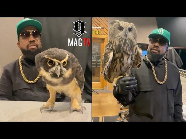 Outkast's Big Boi Brings Pet Owl's To The Studio! 