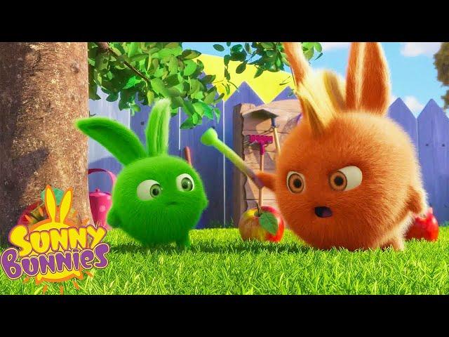 Hopper's in Trouble - Sunny Bunnies | Cartoons For Kids