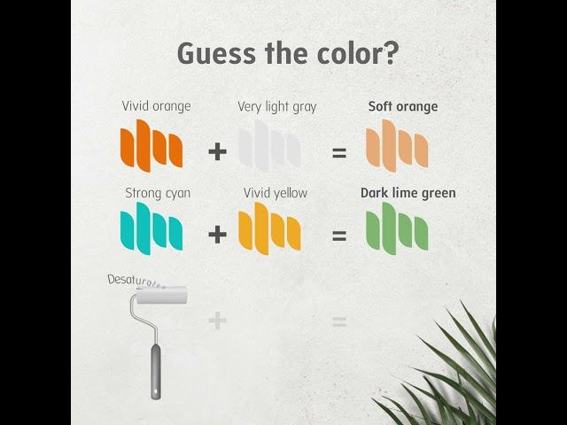 Breathe New Life into Your Home with Brooke Paints! Explore our vibrant collection.