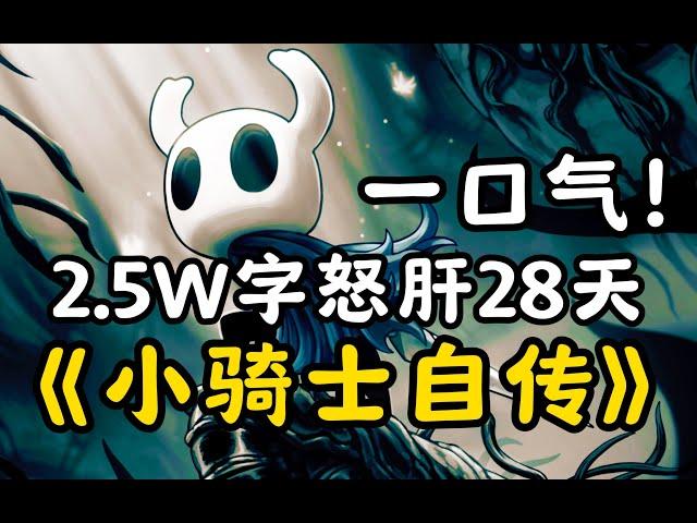 【完整版】《空洞骑士》剧情解说！主线+DLC+双结局一口气讲完！