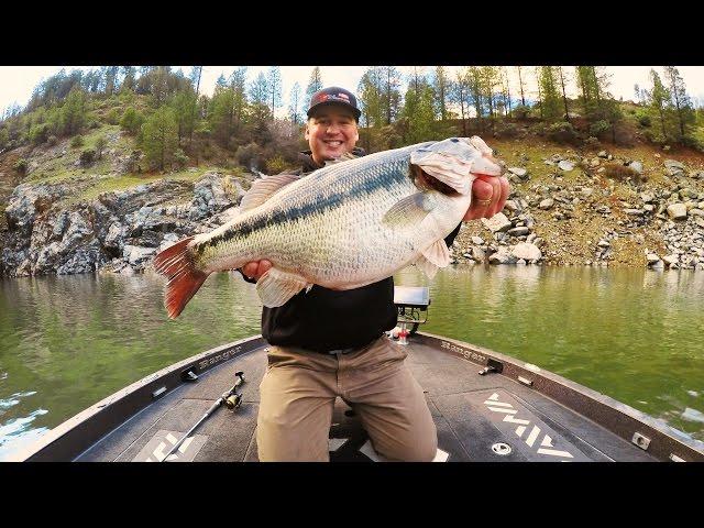 Cody Meyer's Potential World Record Spotted Bass