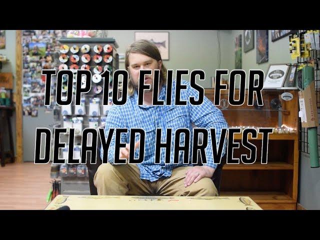 Top 10 Flies for Delayed Harvest - Due South Outfitters