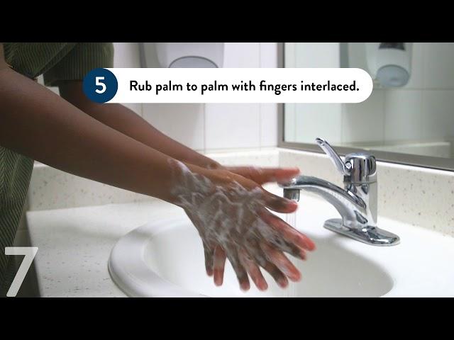 How to Wash Your Hands