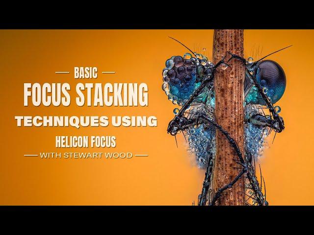 Basic focus Stacking Techniques with Helicon Focus | Tip & Tricks