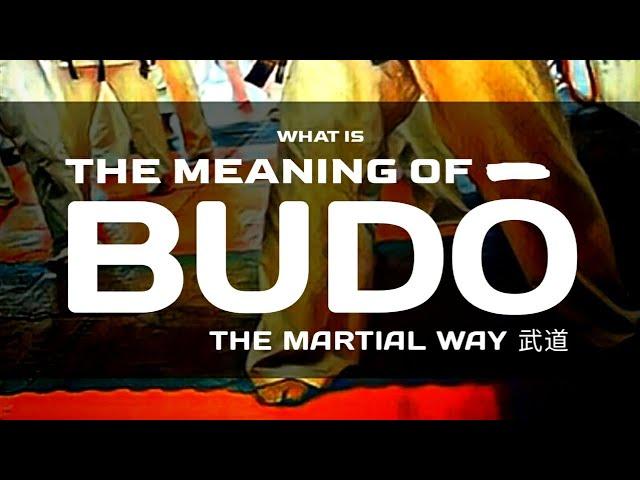 WHAT IS THE MEANING OF BUDO  |  KYOKUSHIN VLOG-44