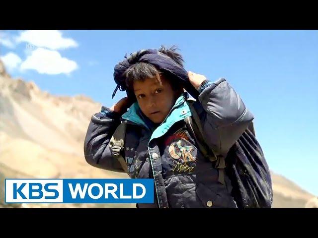 KBS Panorama : Himalayan, Path of Yarchagumba | KBS 파노라마 : 히말라야 人, 야차굼바의 길 - Part 1 (2014.11.05)