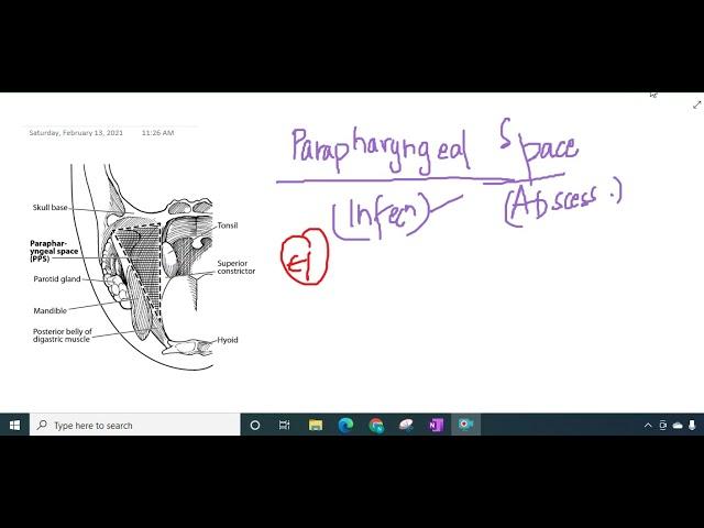 parapharyngeal space and abscess || ENT