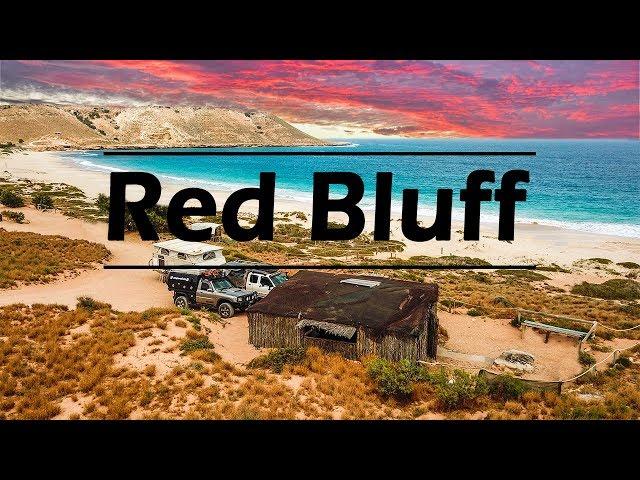 BEACH SHACK CAMPING - Red Bluff Ep.68 - Road Trip Australia