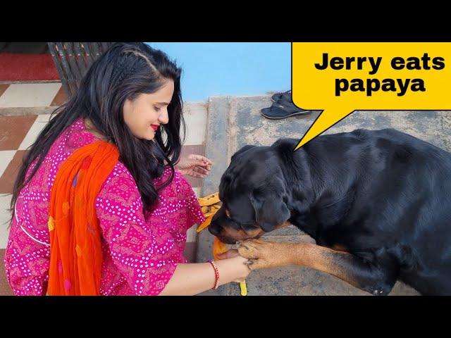 Today Anshu's painting competition||sapna is having fun with Jerry