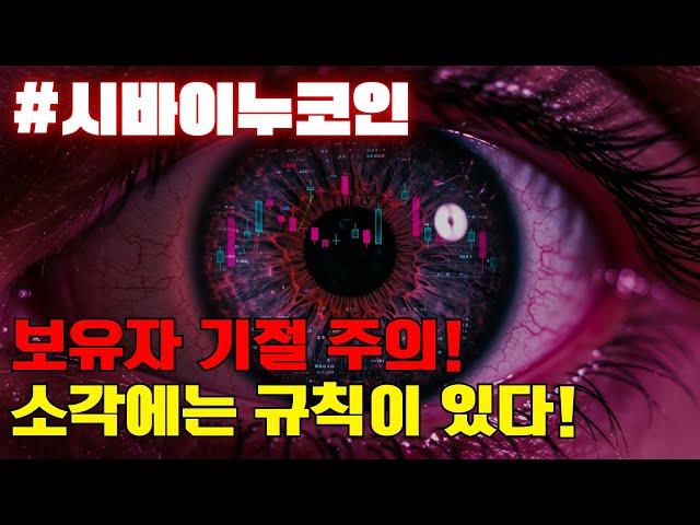 시바이누코인! 규칙이 있었습니다!
