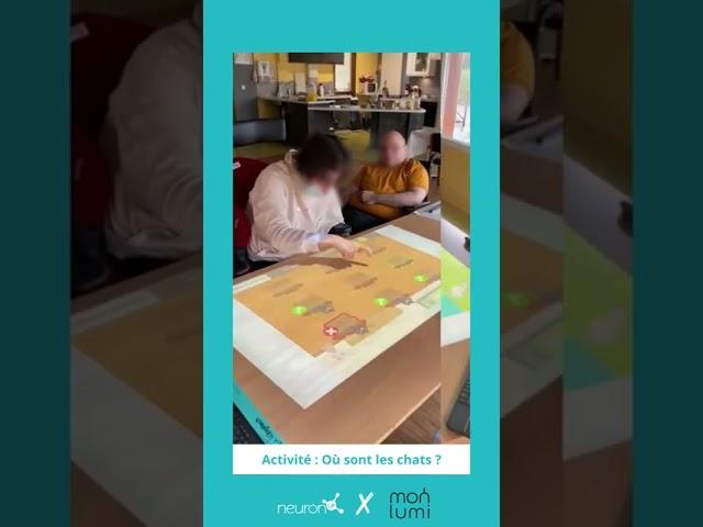 MON LUMI Interactive Mapping Systems - Handicap care