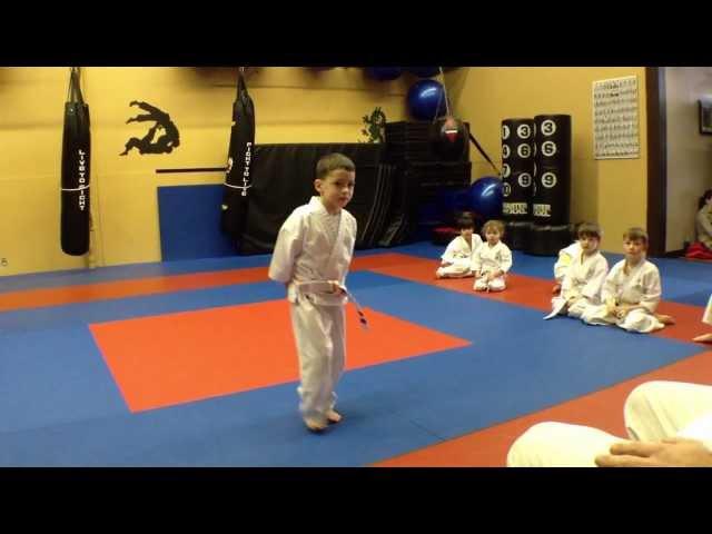 A Typical Children's Karate Class (ages 4-7) at Arashi Do Martial Arts