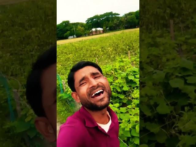 #bollywood #song #hindisong