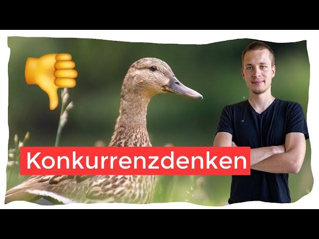 Konkurrenzdenken in der Vogelbeobachtung - Hast du schon 300 Arten? Vlog