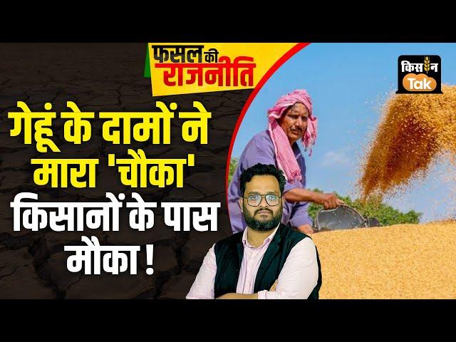 Live: Wheat Price में आया उछाल, किसान समझें बाजार की चाल, त्‍योहारी सीजन में गेहूं के दाम