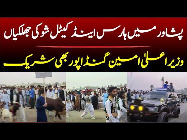 Peshawar Horse Cattel Show Highlights | CM Ali Amin Gandapur Participated