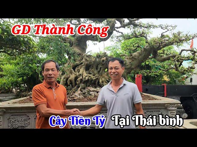 Tin mới ! Chuyển giao tác phẩm tiền tỷ tại NV Duy Hướng Tân Lập Vũ Thư TB