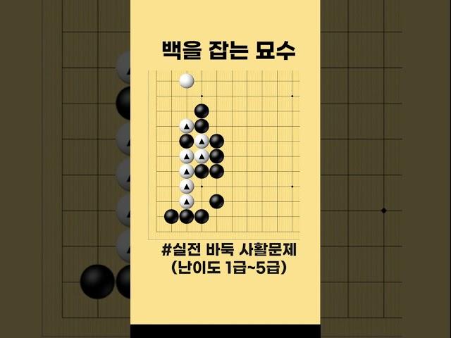 백을 잡는 묘수 중급사활 #바둑 #사활