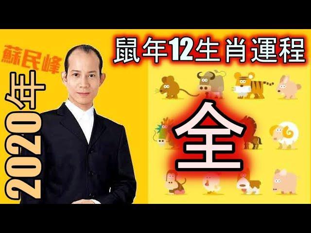 蘇民峰2020年鼠年12生肖運程高清完整版 2020年生肖运程