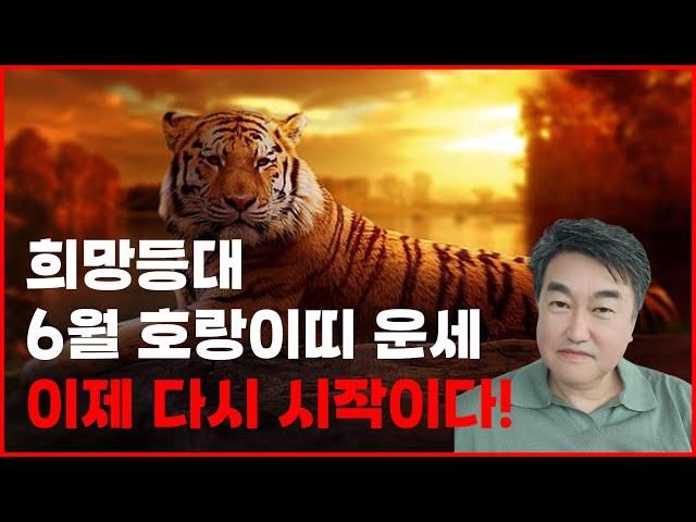 희망등대 6월 호랑이띠 운세 새로운 사냥터가 생겼다.. 이제 다시 시작이다  사주상담  010.5571.9666 / 오늘의 운세 사주팔자 금전운 궁합 애정운
