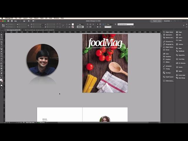 How to Publish a Digital Magazine from InDesign: Introduction