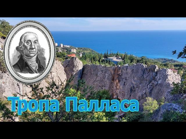 Новый маршрут в Ялтинском заповеднике Тропа Палласа #крым #crimea #горы #ялта