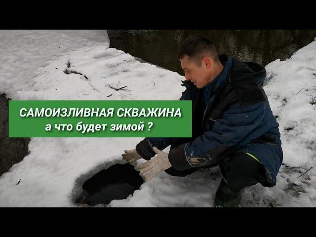 СКВАЖИНА с самоизливом замерзает или нет? Самоизливная скважина зимний обзор