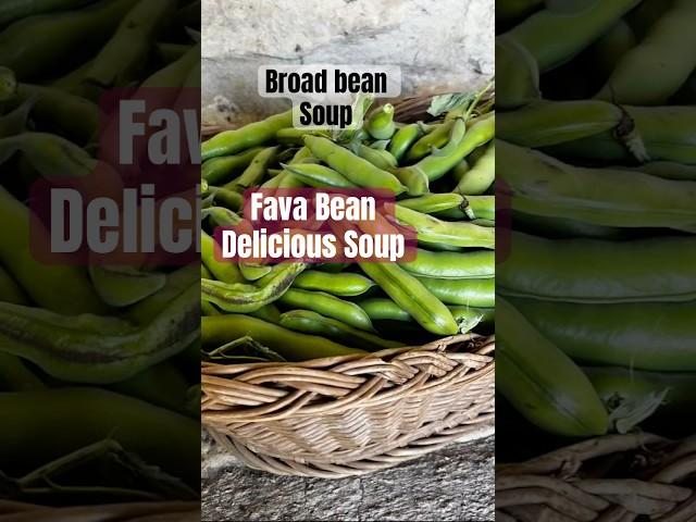 A humble and hearty Maltese soup with fresh fava beans #favabeans #souprecipe #maltese