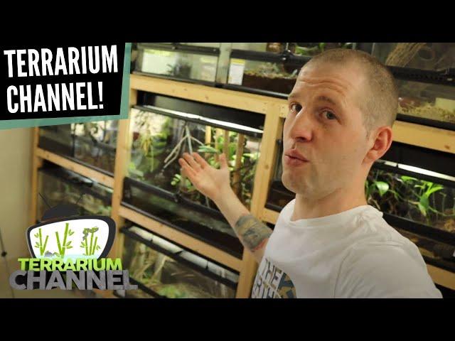 High Quality Reptile Care with a Large Collection | Stefan Wennekes - The Animals at Home Podcast